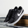 Кросівки Nike COURT ROYALE 2 NN DH3160-001