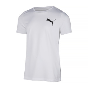 Футболка Puma ACTIVE Small Logo Tee 58698002
