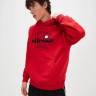 Толстовка Ellesse Fentina OH Hoody SHV20204-823 1 1