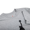 Футболка JORDAN JUMPMAN FLIGHT HBR TEE AO0664-091