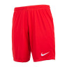 Шорти тренувальні Nike M NK DF PARK III SHORT NB K BV6855-657