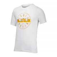 Футболка тренувальна Nike LBJ M NK DF TEE DZ2702-100