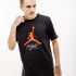 Футболка JORDAN JUMPMAN FLIGHT HBR TEE AO0664-010 1 4