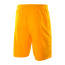 Шорти Nike Park II KNIT SHORT NB 725887-739