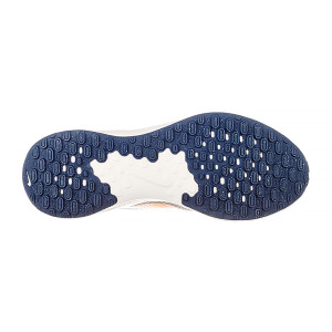 Кросівки Nike REVOLUTION 7 FB2207-009