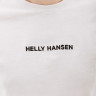 Футболка HELLY HANSEN CORE GRAPHIC T 53936-823 1 2