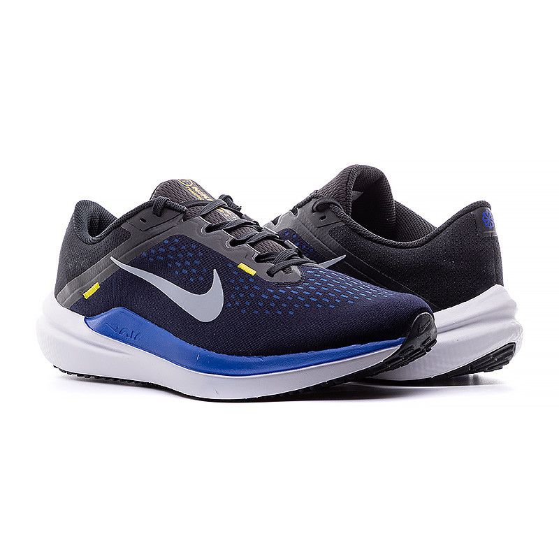 Кросівки Nike AIR WINFLO 10 DV4022-005
