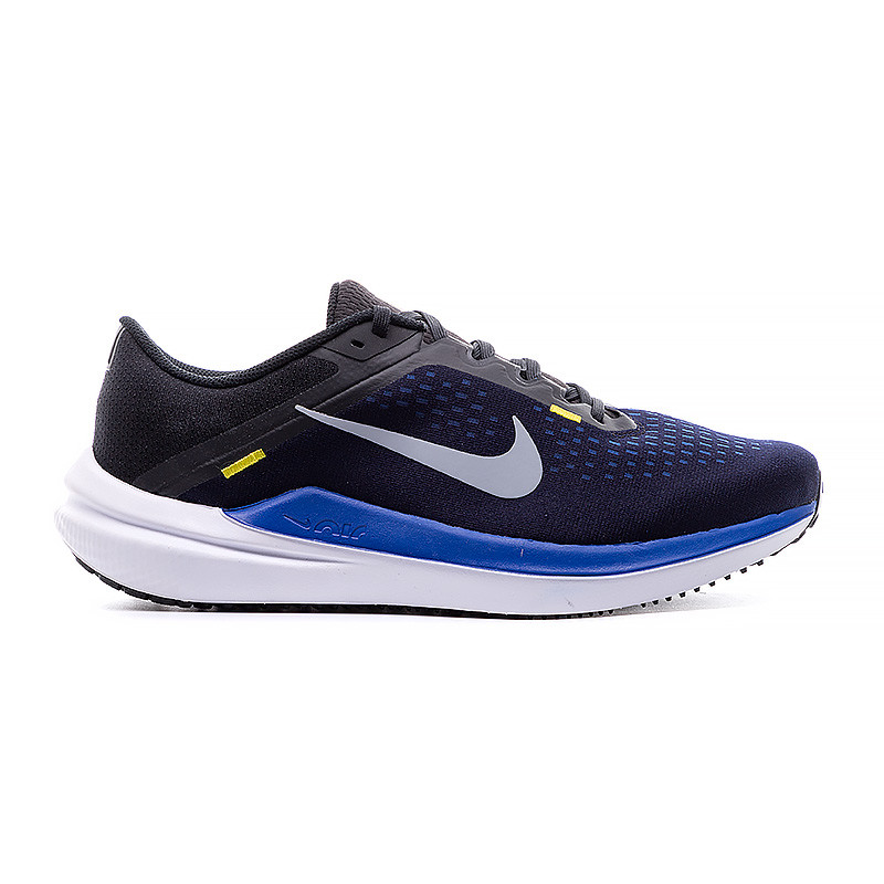 Кросівки Nike AIR WINFLO 10 DV4022-005