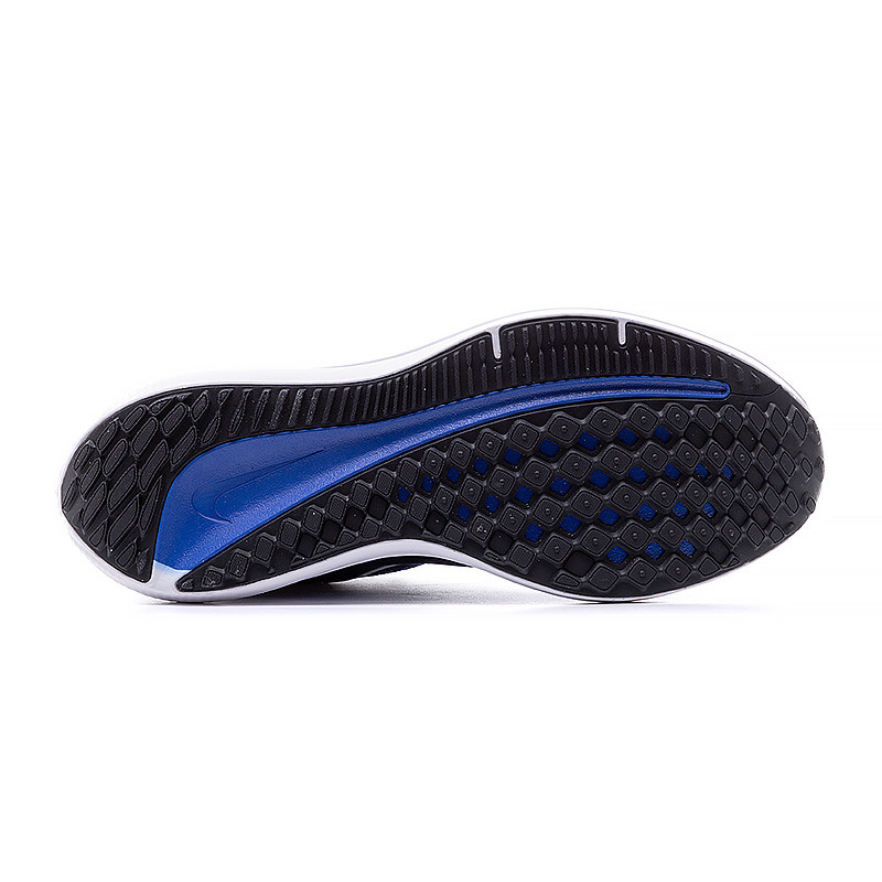 Кросівки Nike AIR WINFLO 10 DV4022-005