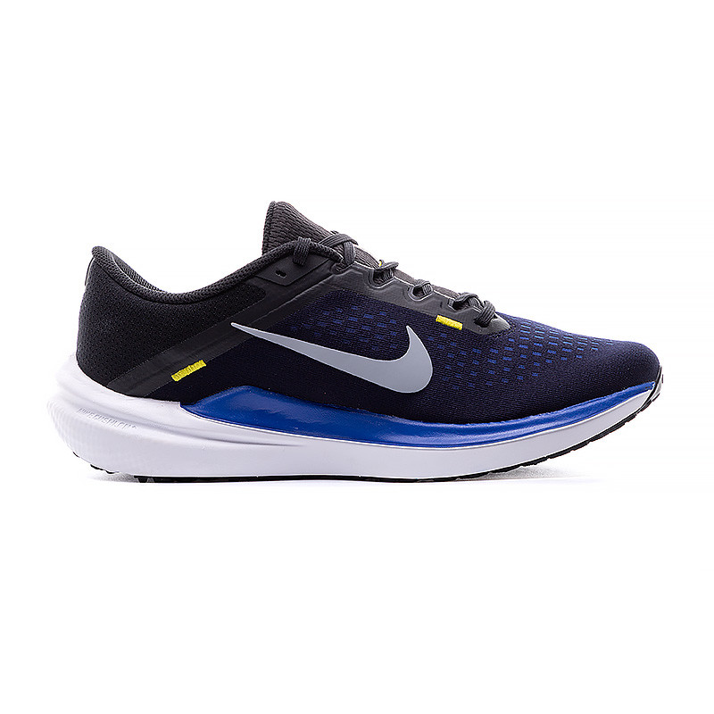 Кросівки Nike AIR WINFLO 10 DV4022-005
