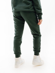 Штани Nike NS CLUB FLC SHINE MR PANT FB8760-328