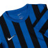Футболка Nike W NK DF STRP DVSN IV JSY SS CW3816-463