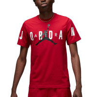 Футболка JORDAN M J JD AIR STRETCH SS CREW DV1445-687 1