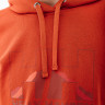 Худі HELLY HANSEN NORD GRAPHIC PULL OVER HOODIE 62975-308 6