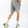 Шорти Nike M NP FLEX REP SHORT 2.0 NPC CU4991-073 4