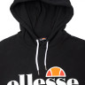 Худі Ellesse Torices SGS03244-011