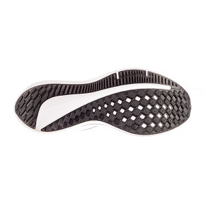 Кросівки бігові Nike AIR WINFLO 10 DV4022-102