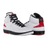 Кросівки баскетбольні JORDAN WMNS AIR 2 RETRO DX4400-106