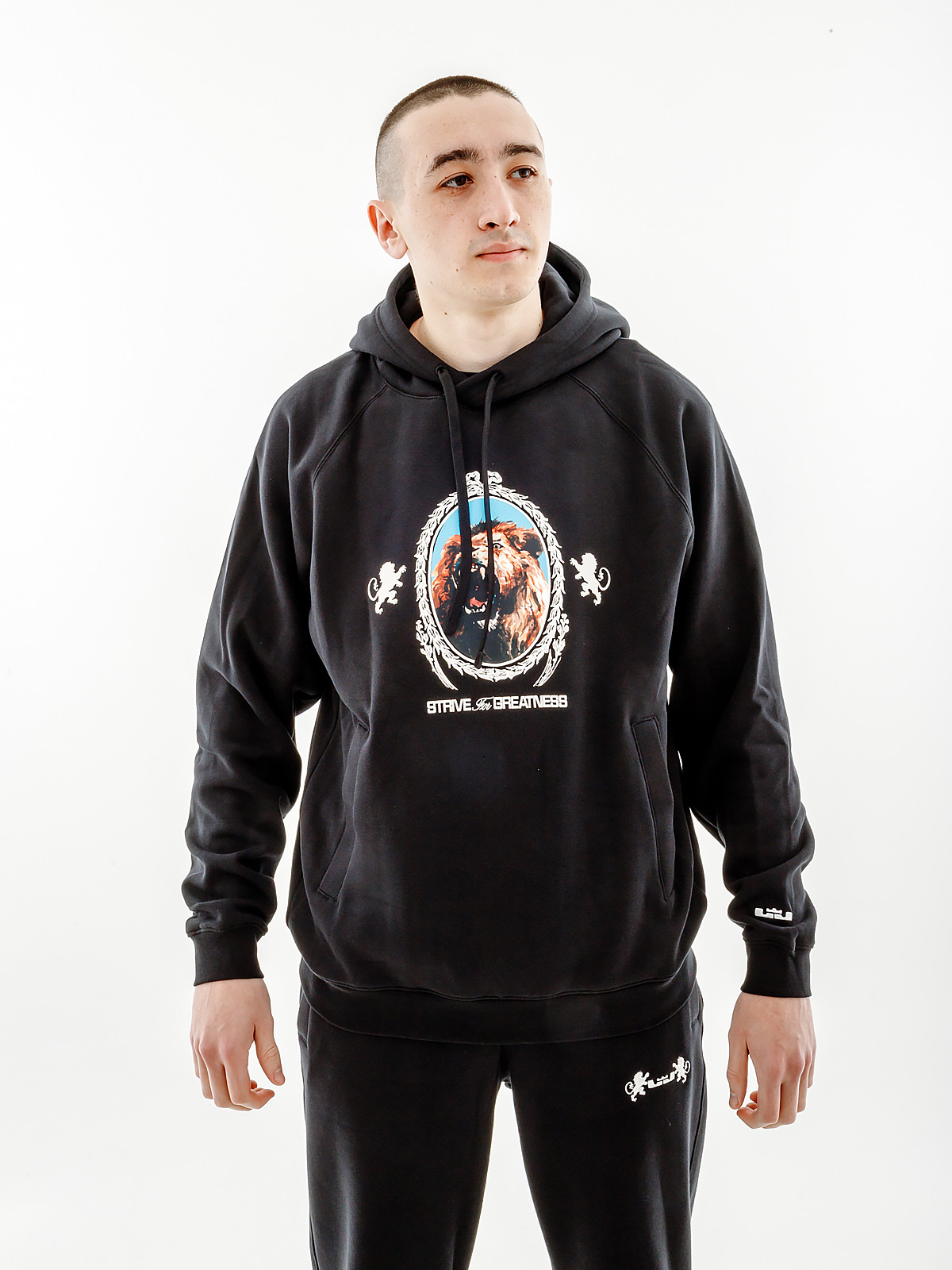 Кофта Nike LJ BRSH PO HOODIE FB7123-010 1
