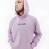 Худі HELLY HANSEN CORE GRAPHIC SWEAT HOODIE 53924-699