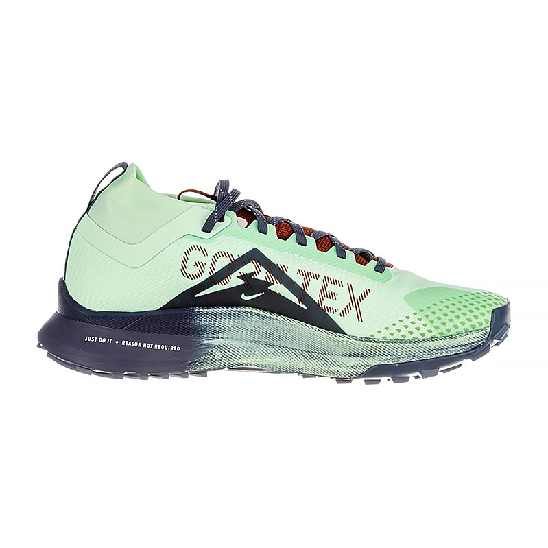 Кросівки Nike REACT PEGASUS TRAIL 4 GTX DJ7926-303
