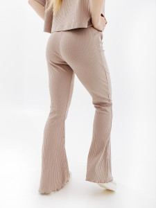 Штани Nike W NSW RIB JRSY PANT DV7868-272