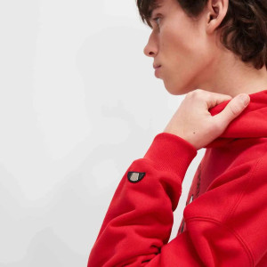 Толстовка Ellesse Fentina OH Hoody SHV20204-823 1