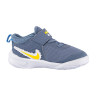 Кросівки Nike TEAM HUSTLE D 10 DREAM (TD) DD0792-410