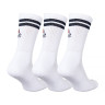 Шкарпетки Ellesse Pullo 3Pk Socks SAAC0620-908
