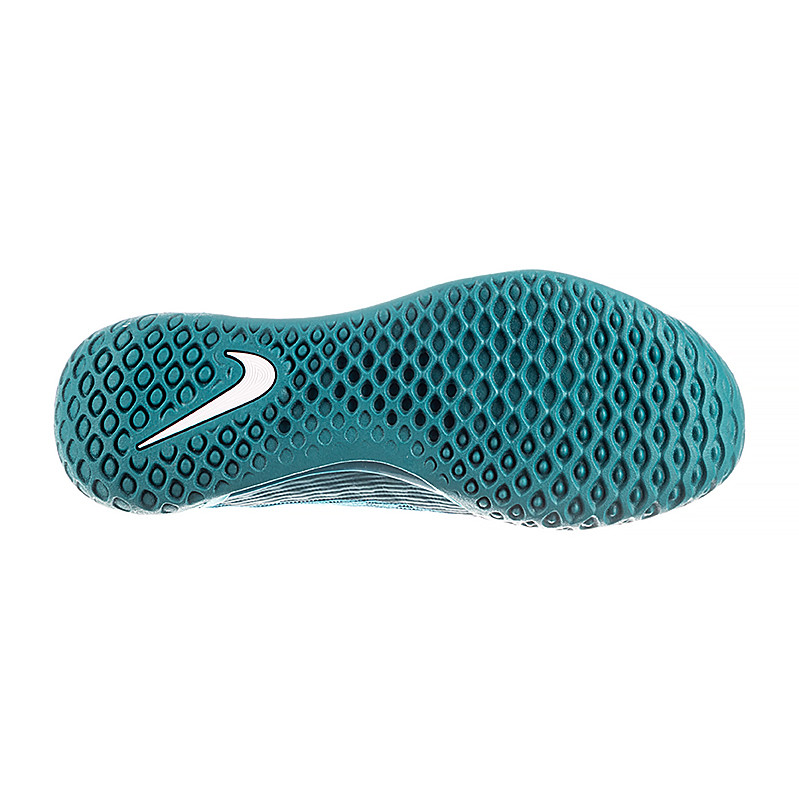 Кросівки Nikem ZOOM COURT NXT HC DV3276-301