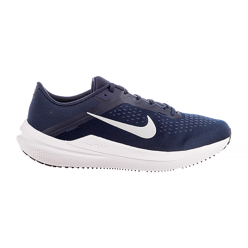 Кросівки Nike AIR WINFLO 10 DV4022-400