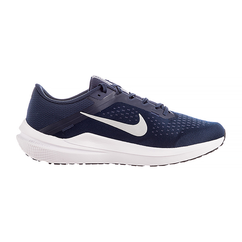 Кросівки Nike AIR WINFLO 10 DV4022-400