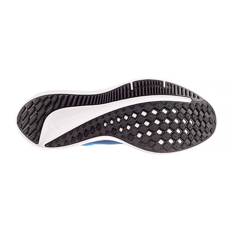 Кросівки Nike AIR WINFLO 10 DV4022-400