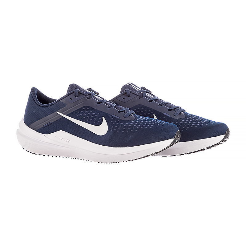 Кросівки Nike AIR WINFLO 10 DV4022-400
