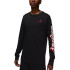 Кофта JORDAN M J BRAND LS GFX CREW FN5976-010 1 4