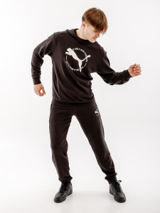 Кофта PUMA BETTER SPORTSWEAR Hoodie 67606401