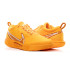 Кросівки Nike ZOOM COURT PRO CLY DV3277-700