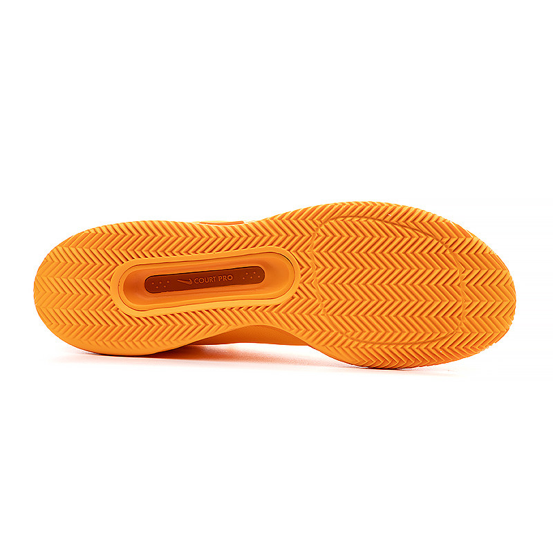 Кросівки Nike ZOOM COURT PRO CLY DV3277-700