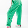 Штани Nike W NSW FT OS HR JOGGER SW FJ4922-363
