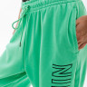 Штани Nike W NSW FT OS HR JOGGER SW FJ4922-363