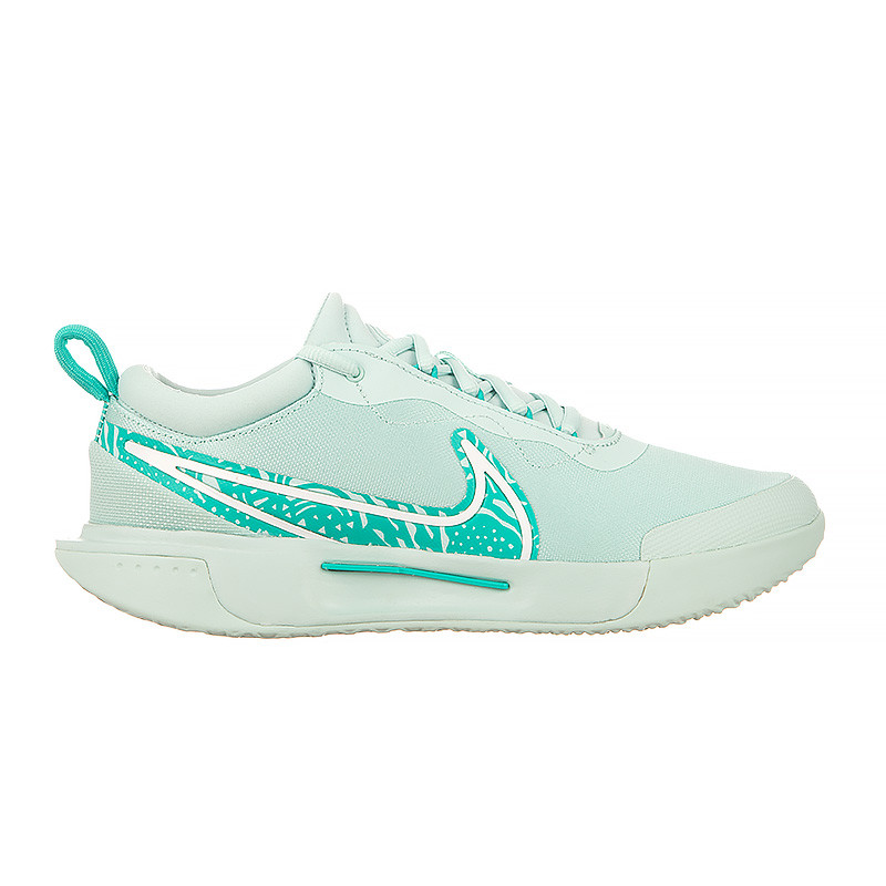 Кросівки Nike ZOOM COURT PRO HC DV3285-300
