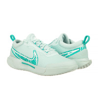Кросівки Nike ZOOM COURT PRO HC DV3285-300