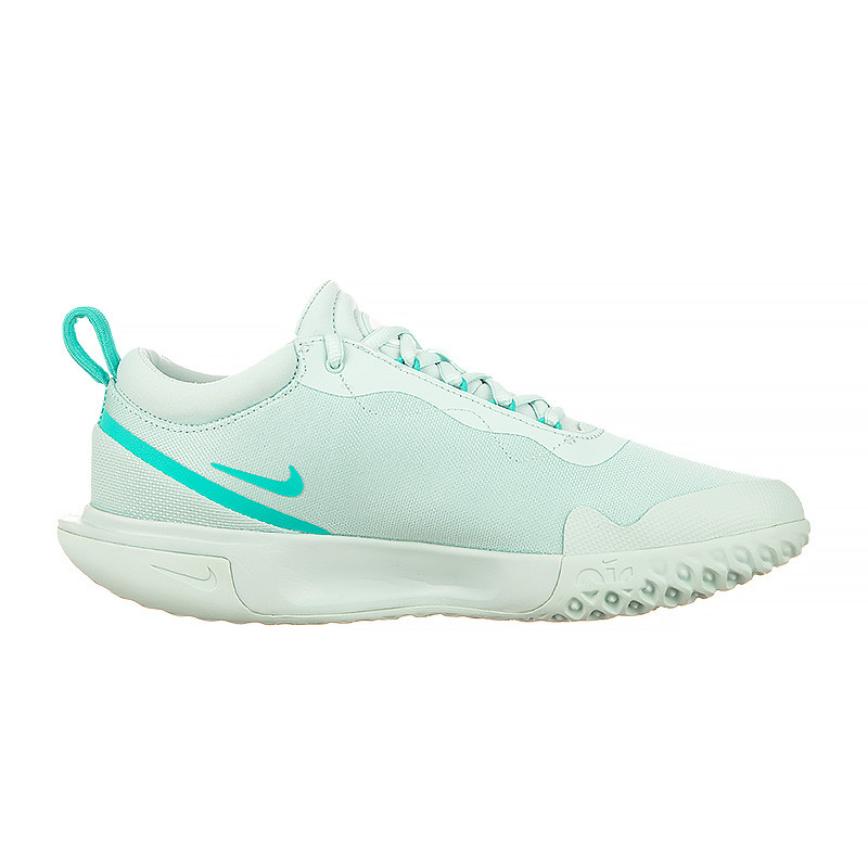 Кросівки Nike ZOOM COURT PRO HC DV3285-300