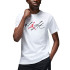 Футболка JORDAN MBRAND GFX SS CREW2 FB7465-100 1 4