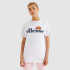 Футболка Ellesse Albany Tee SGS03237-908