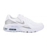 Кросівки Nike WMNS AIR MAX EXCEE CD5432-121