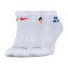 Шкарпетки Nike U NK EVERYDAY PLUS CUSH ANKLE DH3827-902