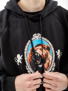 Кофта Nike LJ BRSH PO HOODIE FB7123-010