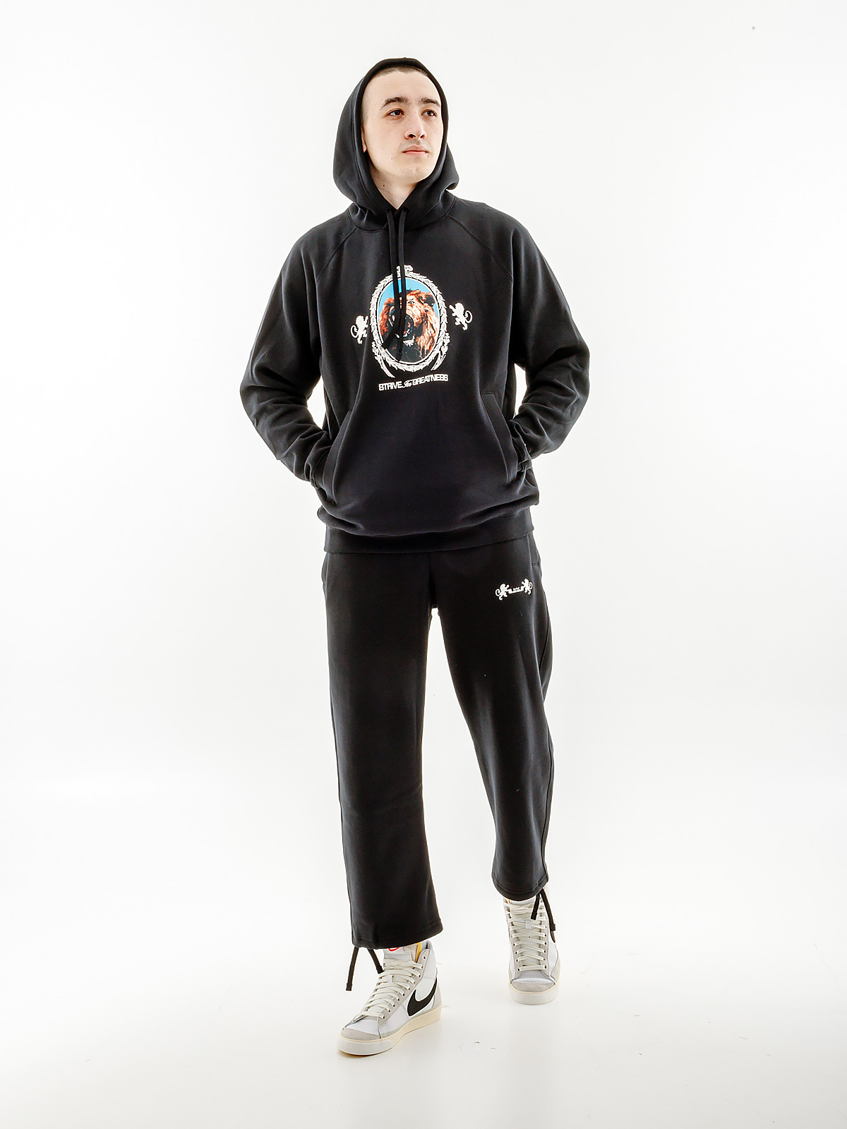 Кофта Nike LJ BRSH PO HOODIE FB7123-010