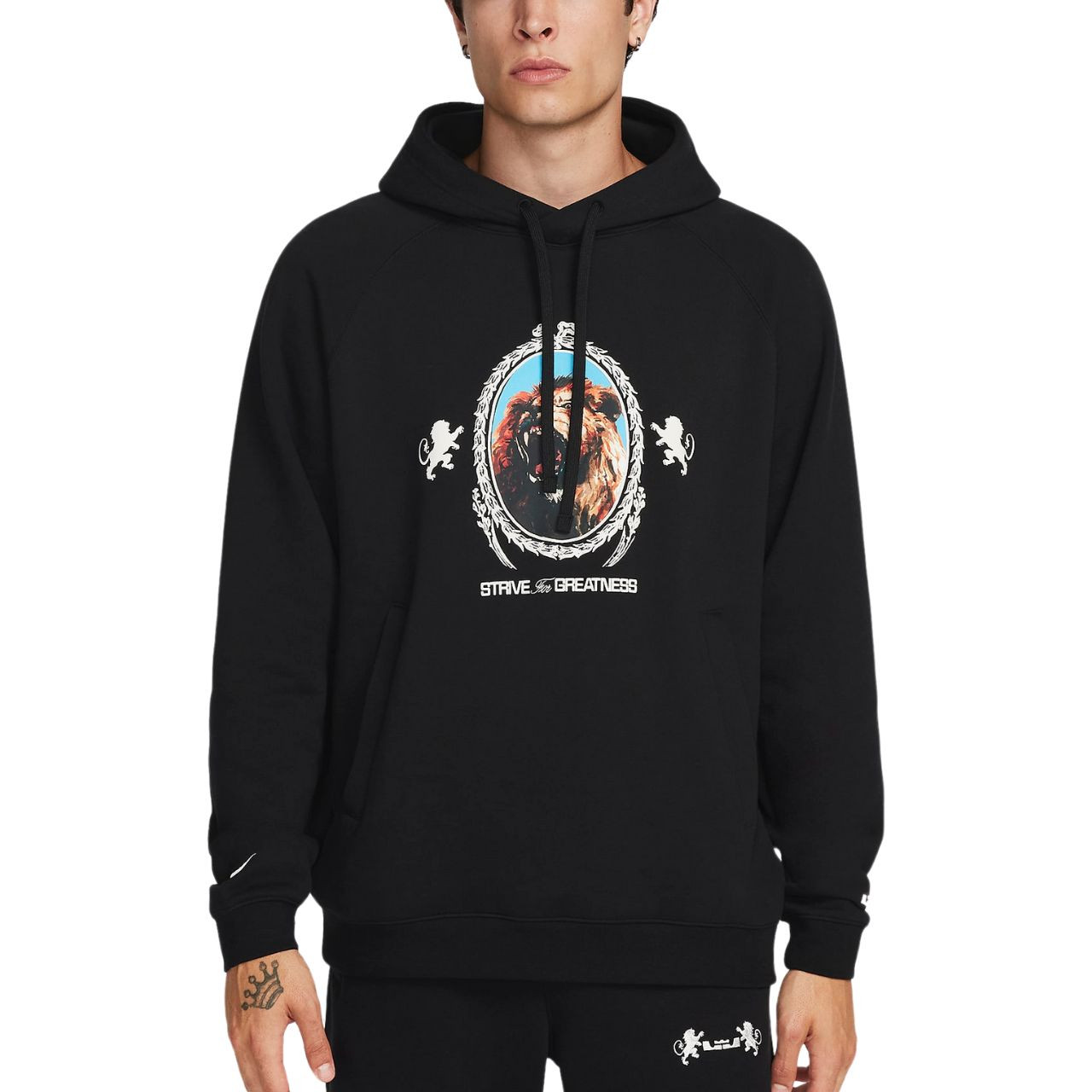 Кофта Nike LJ BRSH PO HOODIE FB7123-010